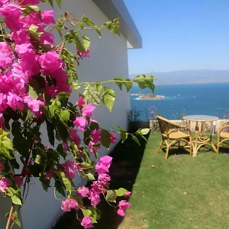 Bodrum Adabuku Luks 2+1 Ozel Plaj Ve Havuzlu